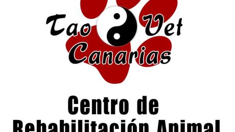 Centro de rehabilitación veterinaria Puerto de La Cruz